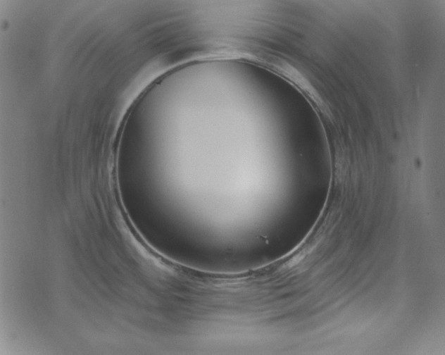 X0000072491484200607211211