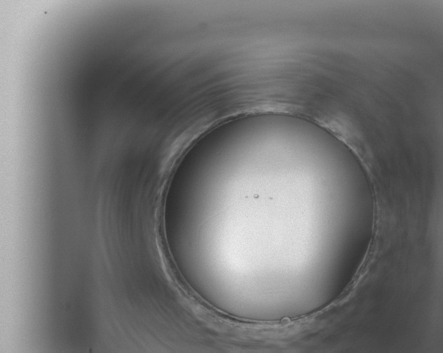 X0000072490001200607290052