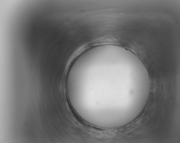 X0000072490004200607290052