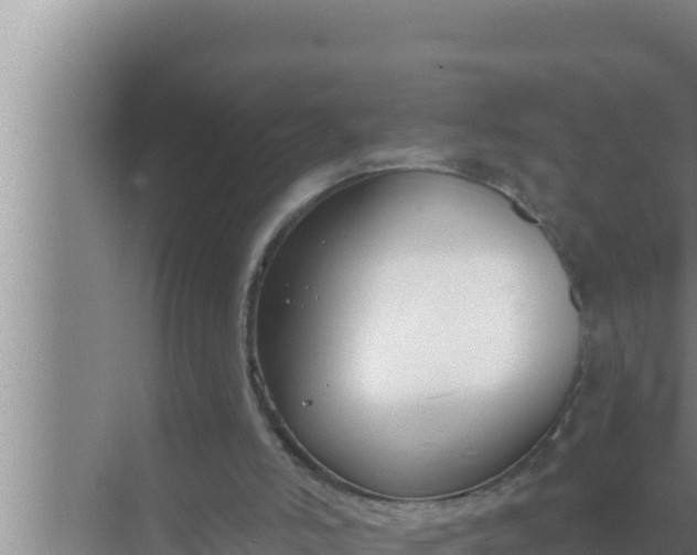 X0000072490006200607290052