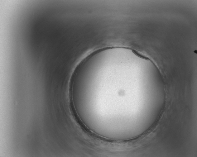 X0000072490008200607290052