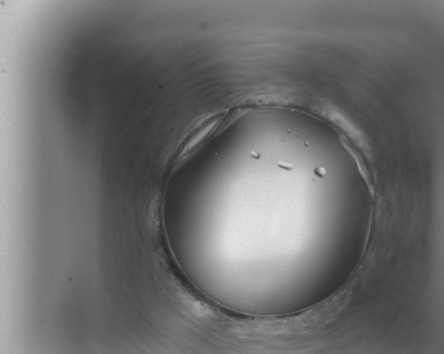 X0000072490009200607290051