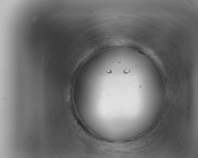 X0000072490010200607290051