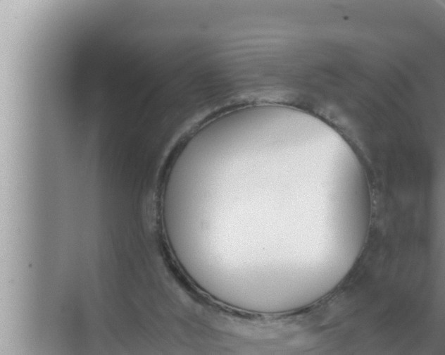 X0000072490012200607290051