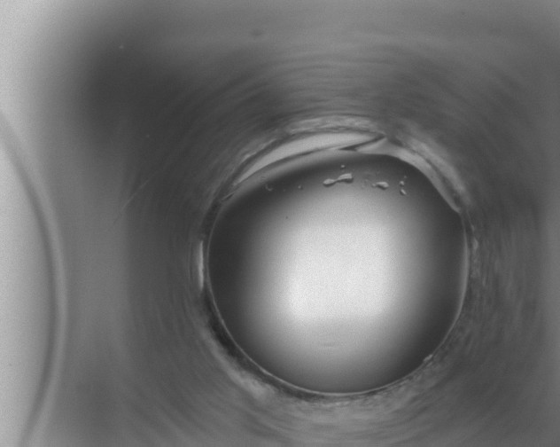 X0000072490013200607290051