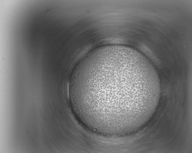 X0000072490014200607290051