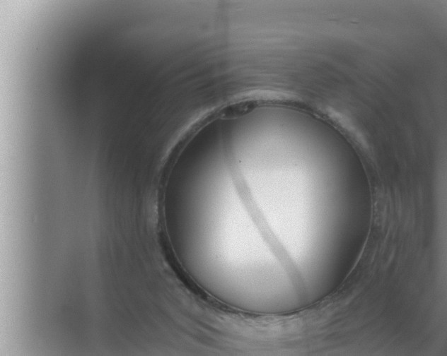 X0000072490015200607290051