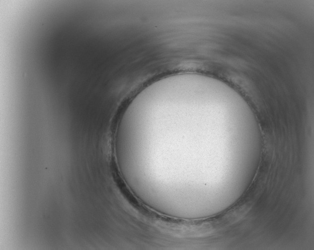 X0000072490016200607290051