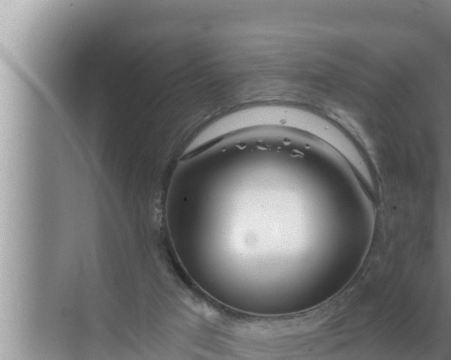 X0000072490017200607290051