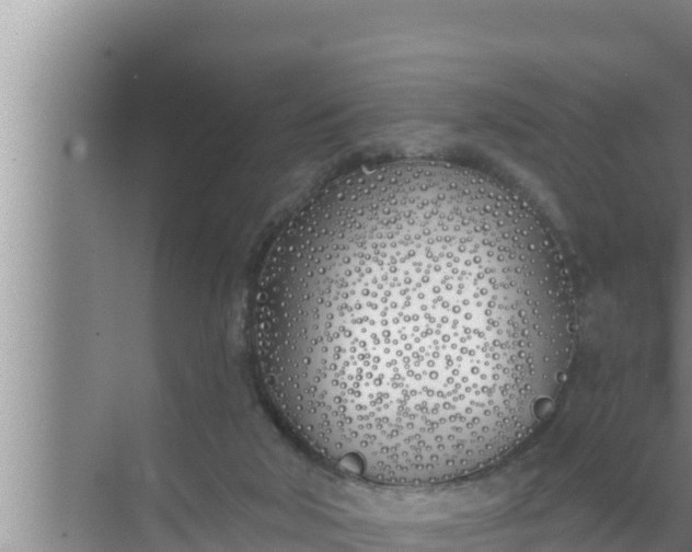 X0000072490018200607290051