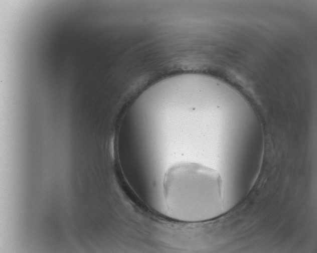 X0000072490019200607290051