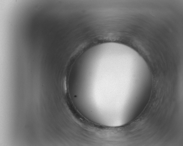 X0000072490020200607290051