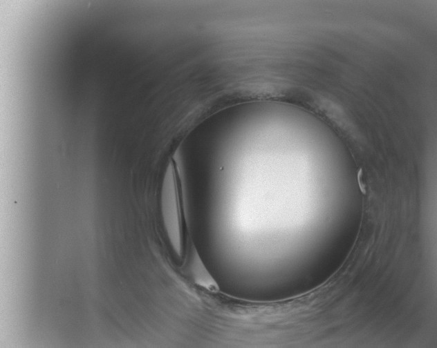 X0000072490021200607290051