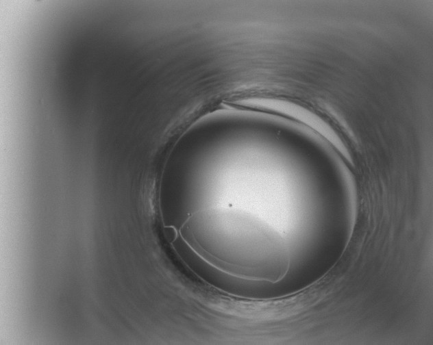 X0000072490023200607290051