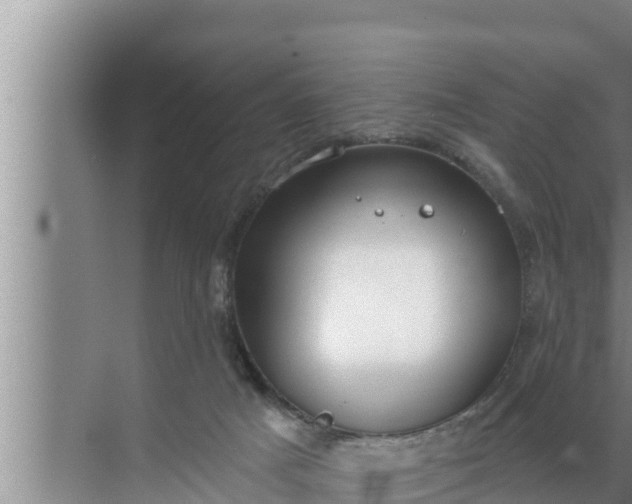 X0000072490025200607290051