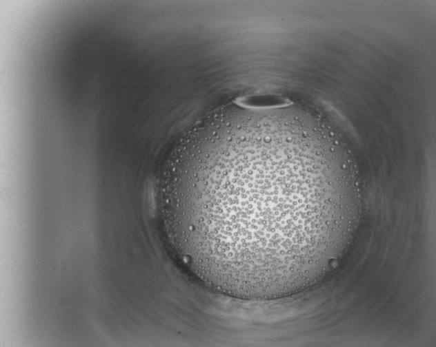 X0000072490026200607290051