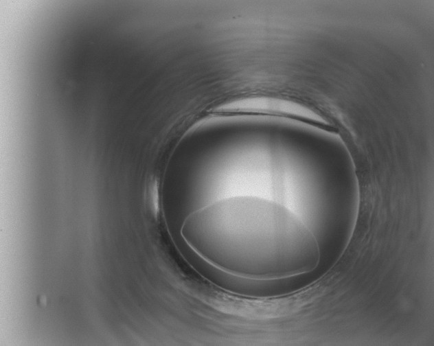 X0000072490027200607290051