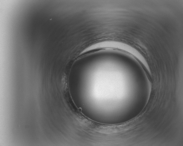 X0000072490029200607290051