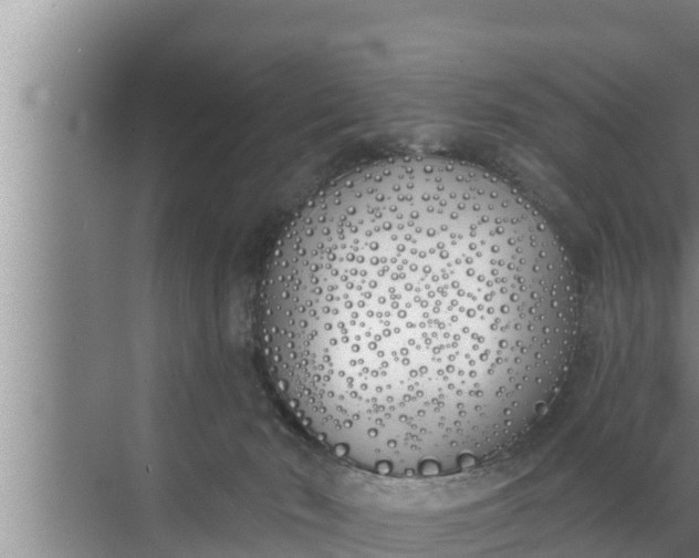 X0000072490030200607290051