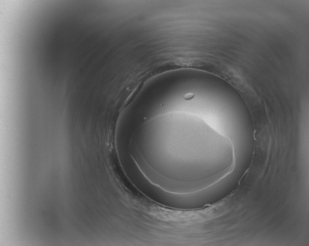 X0000072490031200607290051