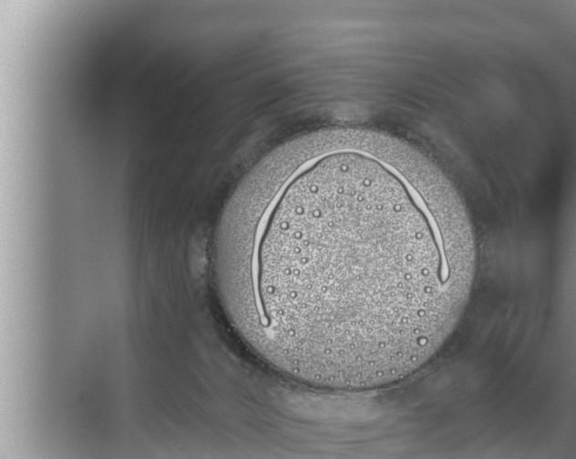 X0000072490032200607290051