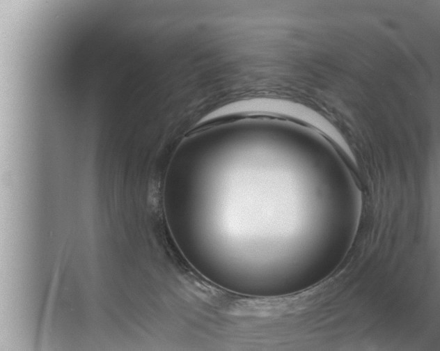 X0000072490033200607290051