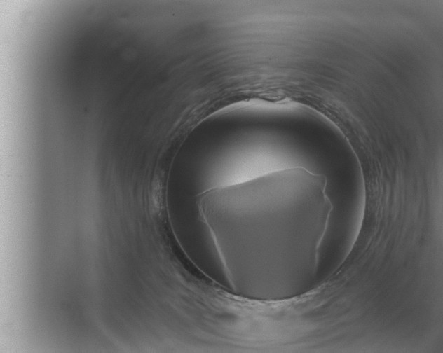 X0000072490035200607290051