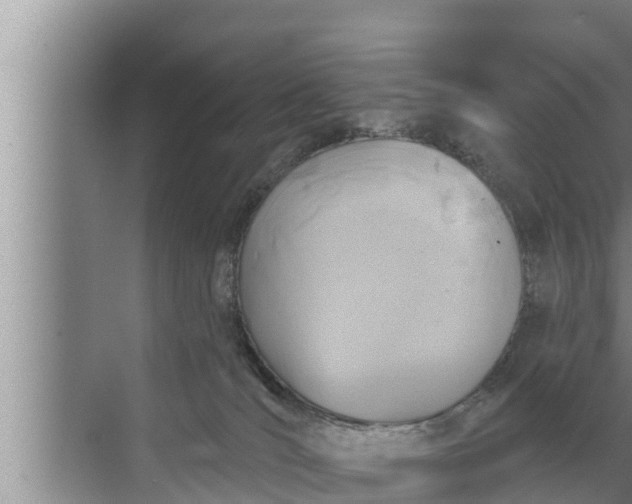 X0000072490036200607290051