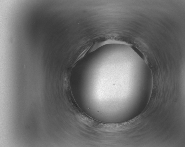 X0000072490037200607290051