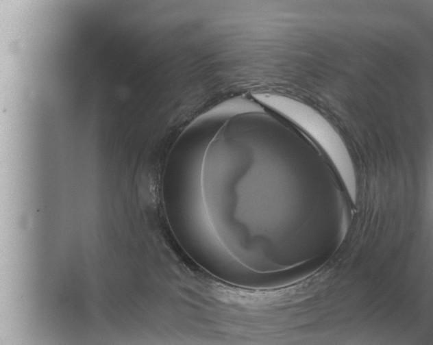 X0000072490039200607290051