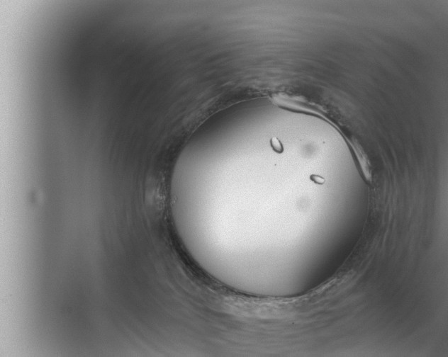 X0000072490040200607290051