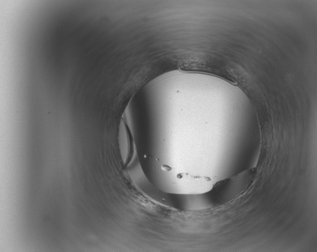 X0000072490041200607290051