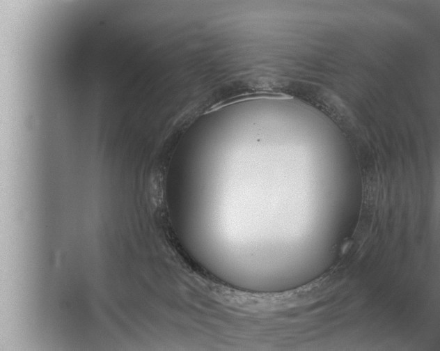 X0000072490043200607290051