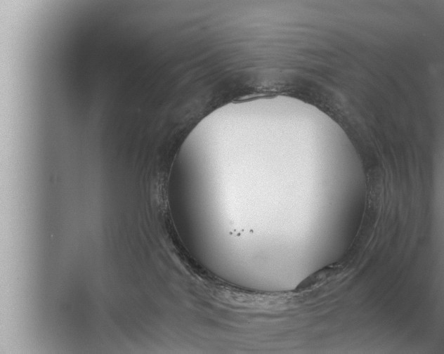 X0000072490044200607290051