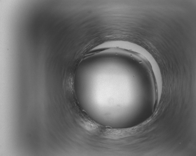 X0000072490045200607290051