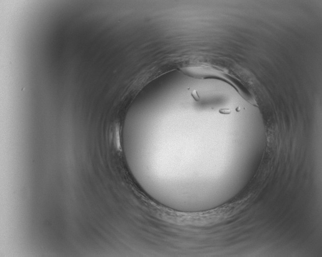 X0000072490046200607290051