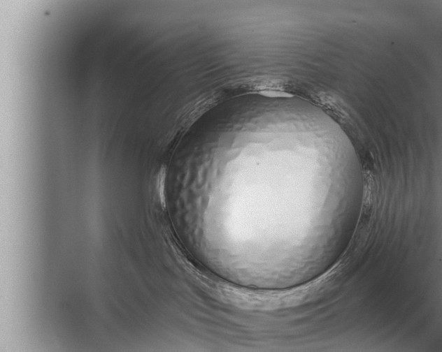 X0000072490047200607290051