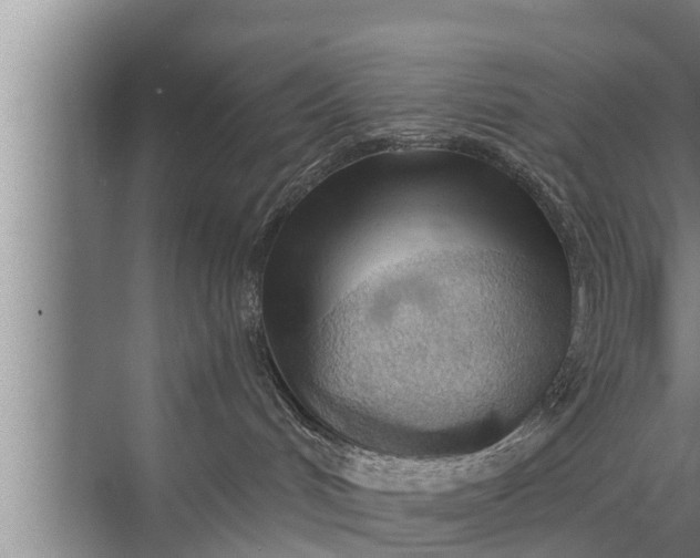 X0000072490048200607290051