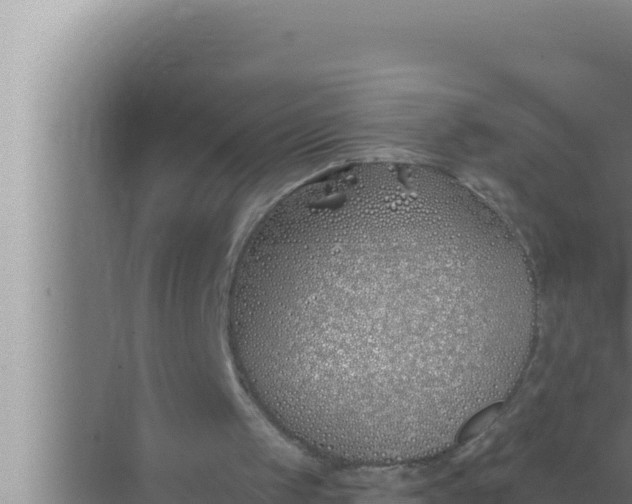 X0000072490049200607290050