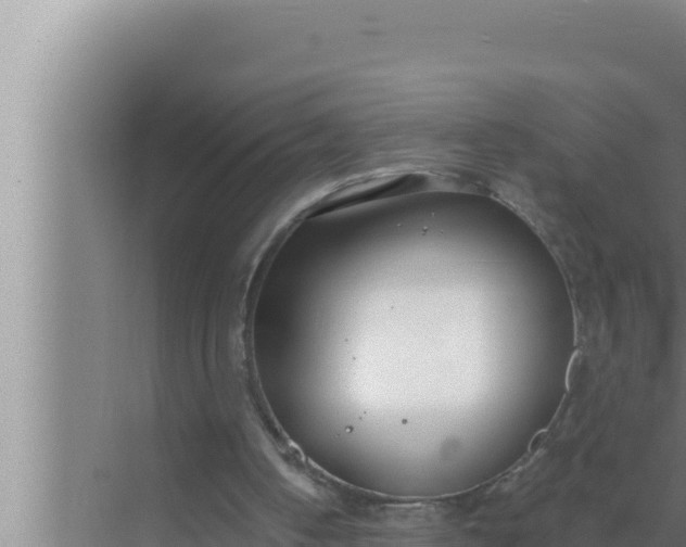 X0000072490050200607290050