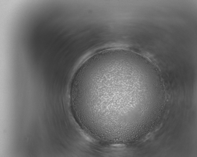 X0000072490053200607290050