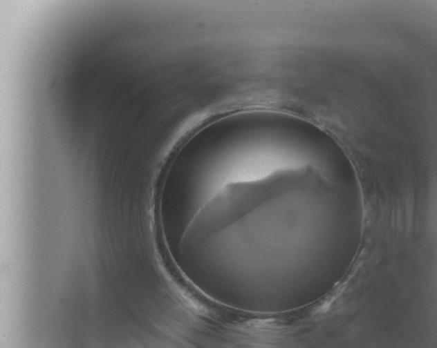 X0000072490054200607290050