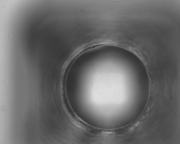 X0000072490055200607290050