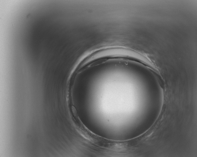 X0000072490056200607290050