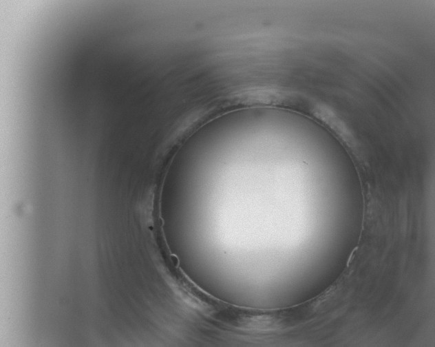 X0000072490058200607290050