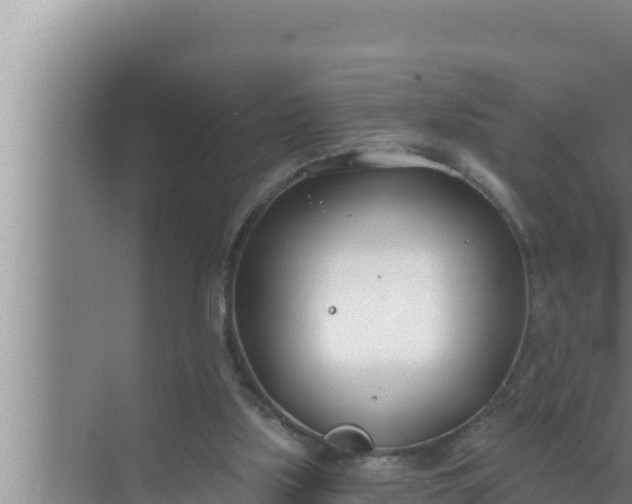 X0000072490059200607290050