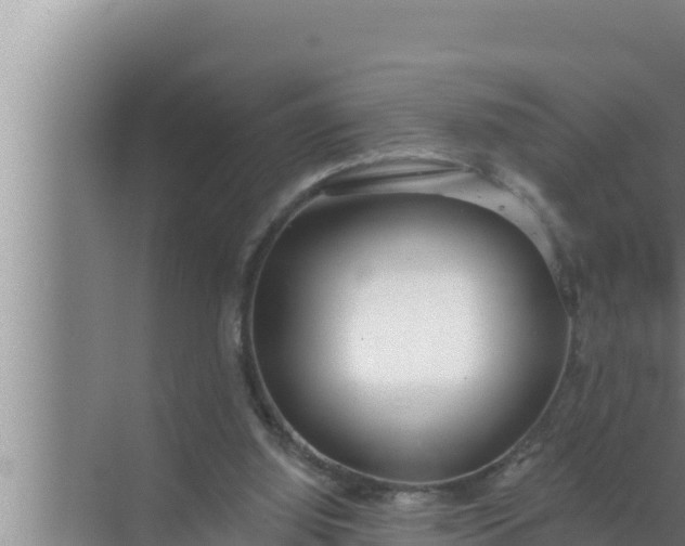 X0000072490060200607290050