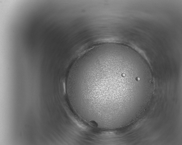 X0000072490061200607290050