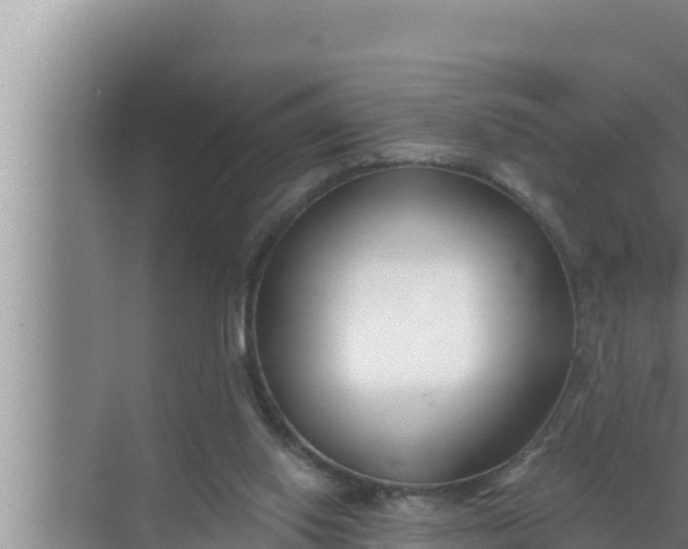 X0000072490062200607290050