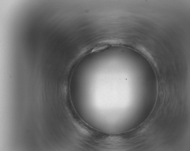 X0000072490063200607290050